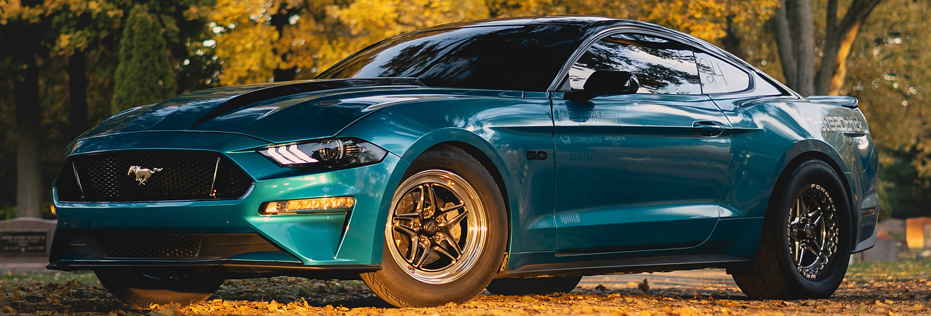 جوانا إيكوبيلي